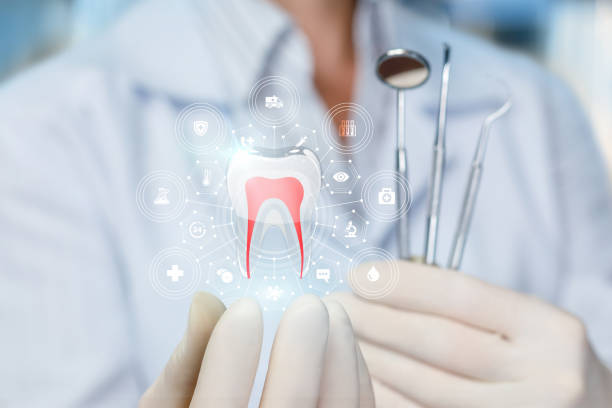 Why Choose Us for Your Dental Needs in Jacksboro, TN